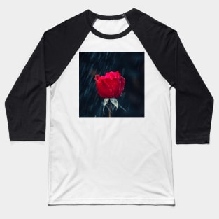 Wet Red Rose Baseball T-Shirt